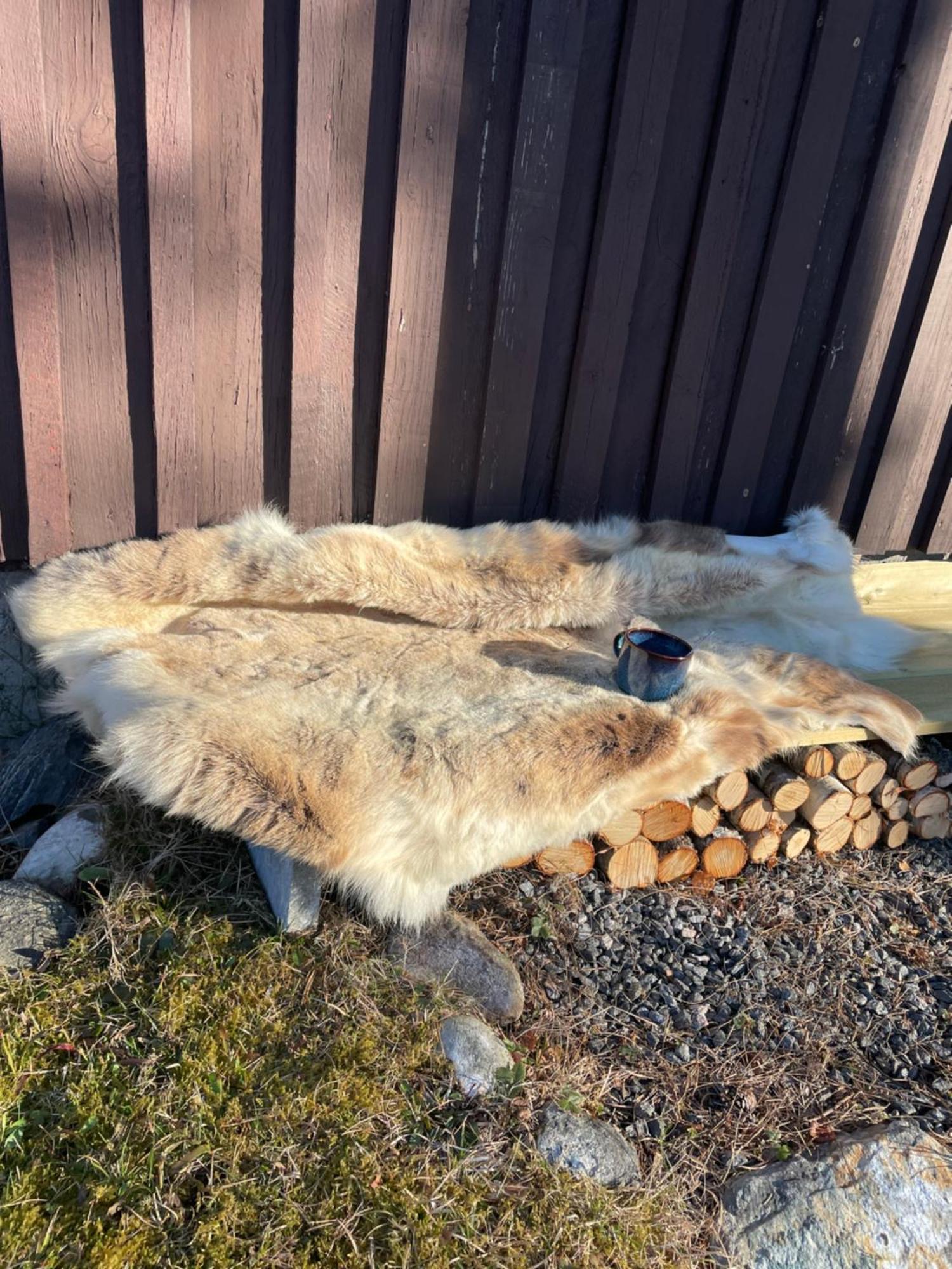 Hytte I Naturskjonne Omgivelser Sofstad Exterior foto