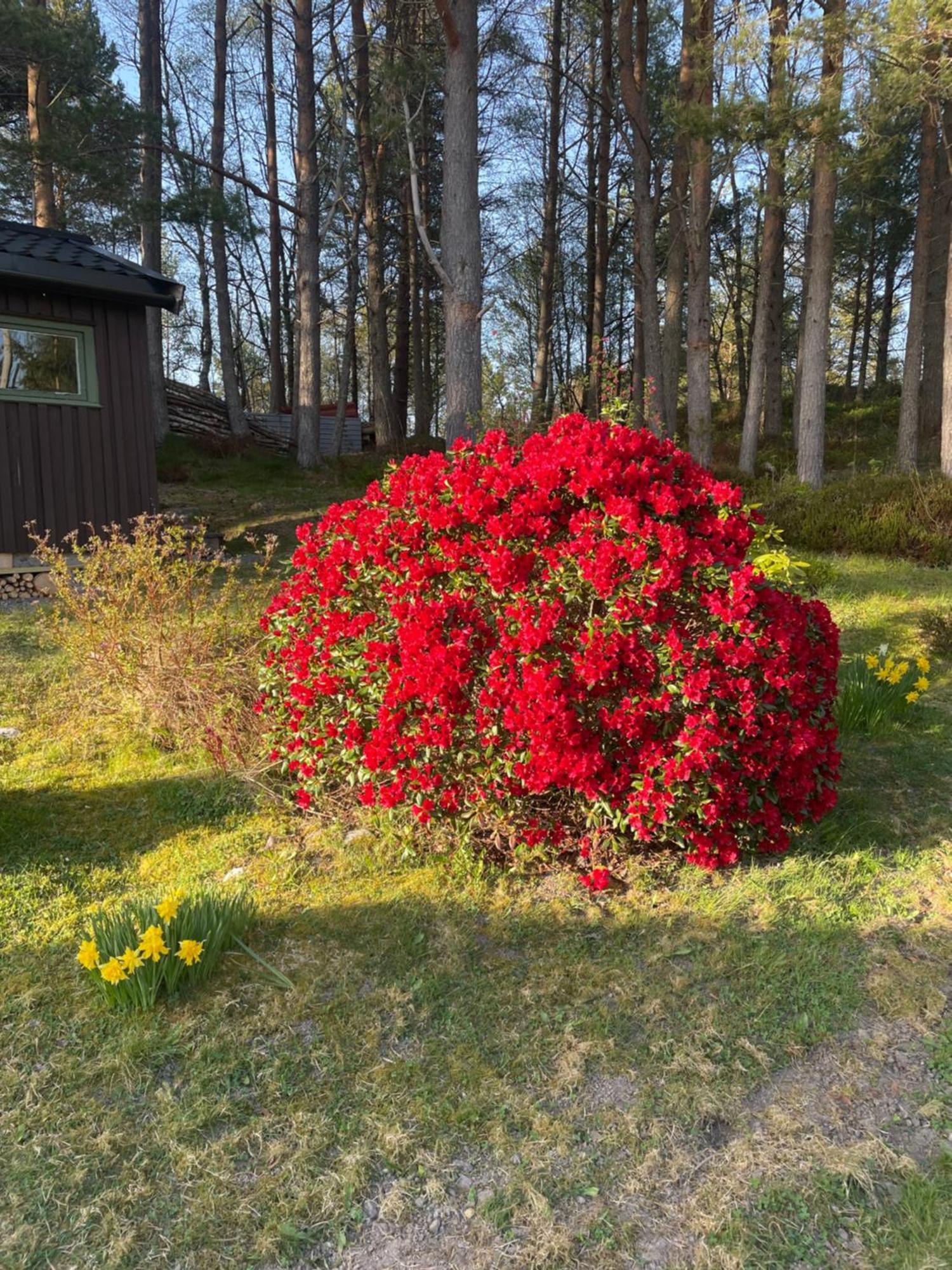 Hytte I Naturskjonne Omgivelser Sofstad Exterior foto