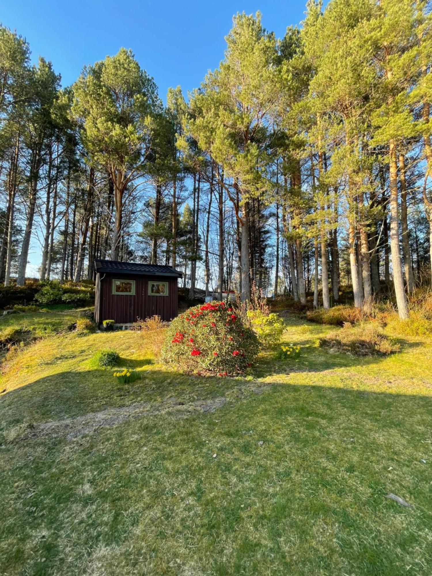 Hytte I Naturskjonne Omgivelser Sofstad Exterior foto